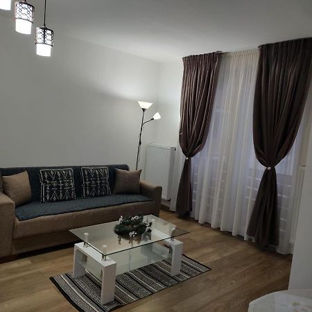 Apartament Casa Ioana Târgu-Mureş Zewnętrze zdjęcie