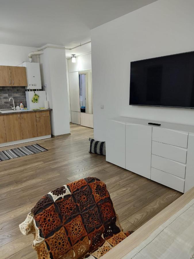 Apartament Casa Ioana Târgu-Mureş Zewnętrze zdjęcie