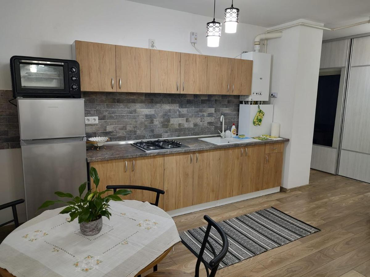 Apartament Casa Ioana Târgu-Mureş Zewnętrze zdjęcie