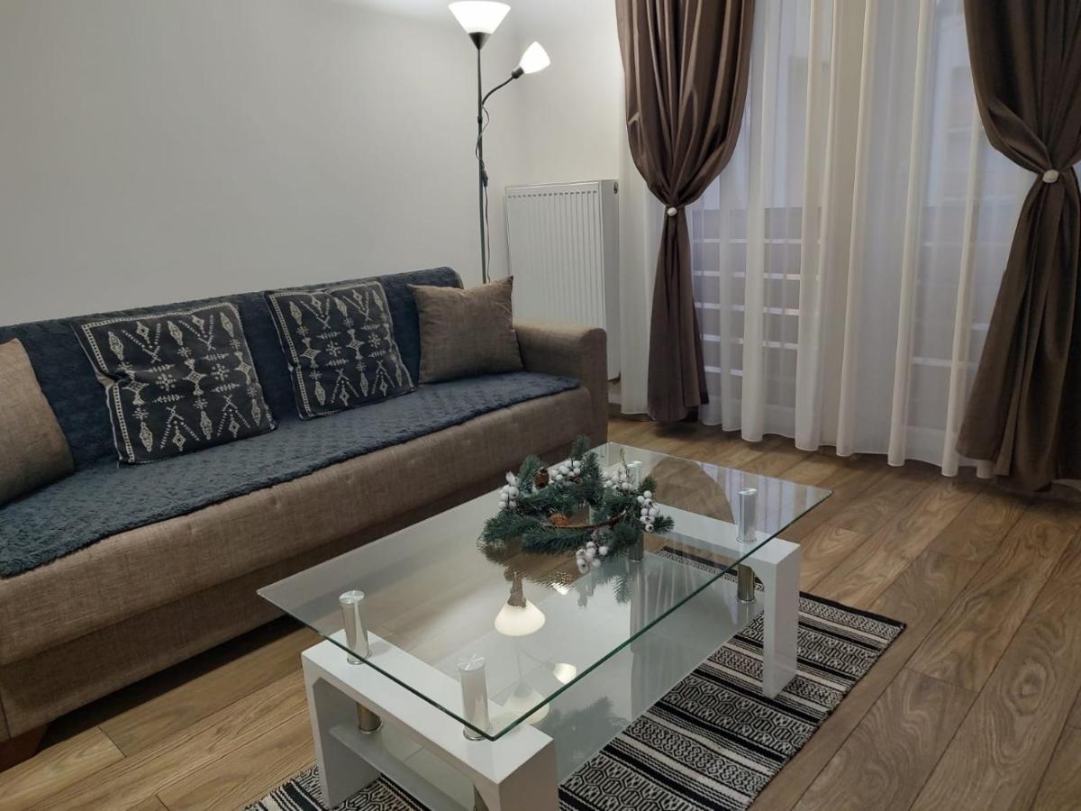Apartament Casa Ioana Târgu-Mureş Zewnętrze zdjęcie