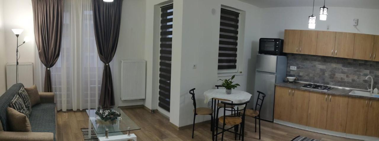 Apartament Casa Ioana Târgu-Mureş Zewnętrze zdjęcie