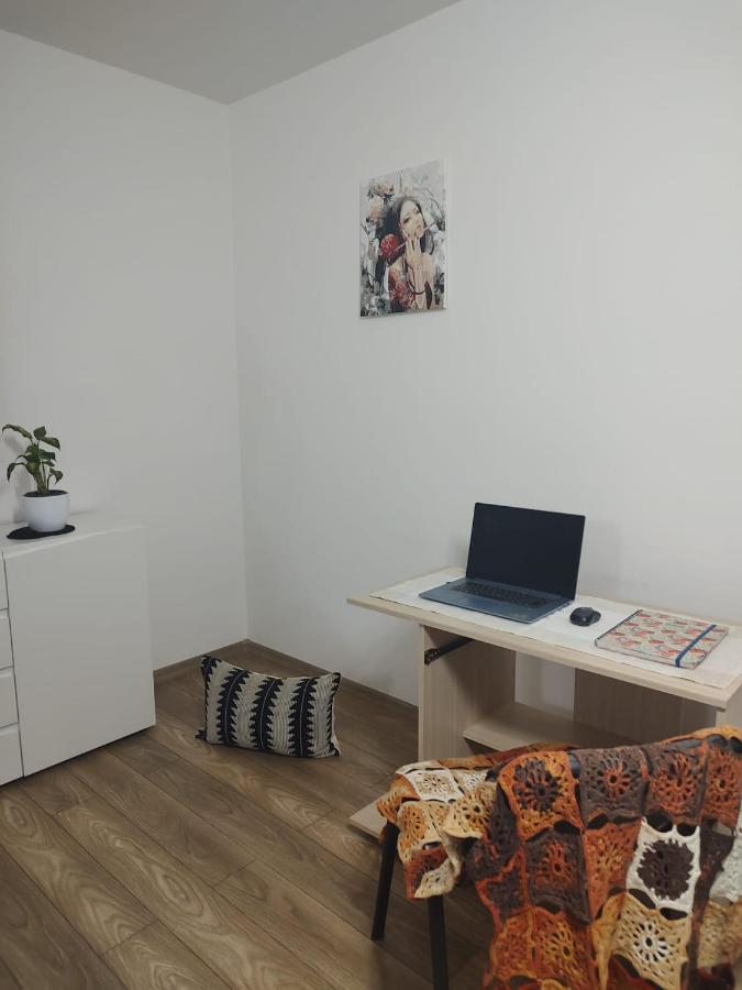 Apartament Casa Ioana Târgu-Mureş Zewnętrze zdjęcie