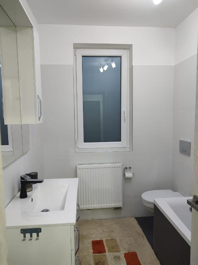 Apartament Casa Ioana Târgu-Mureş Zewnętrze zdjęcie