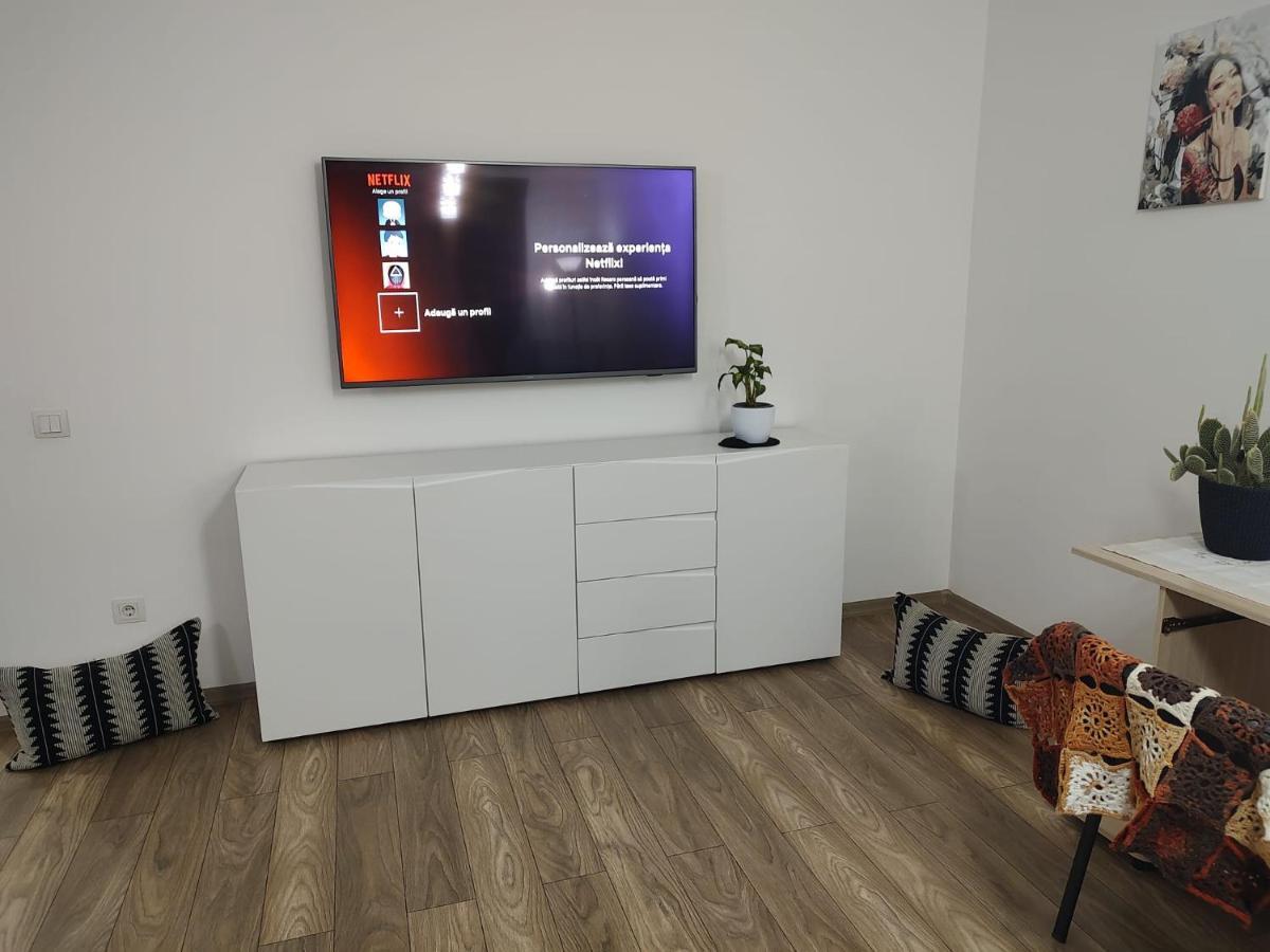 Apartament Casa Ioana Târgu-Mureş Zewnętrze zdjęcie