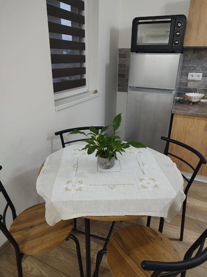 Apartament Casa Ioana Târgu-Mureş Zewnętrze zdjęcie
